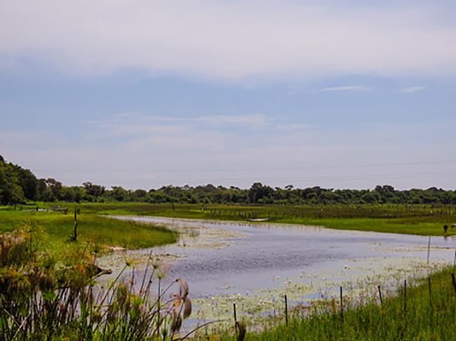 Okavango River Lodge, Maun