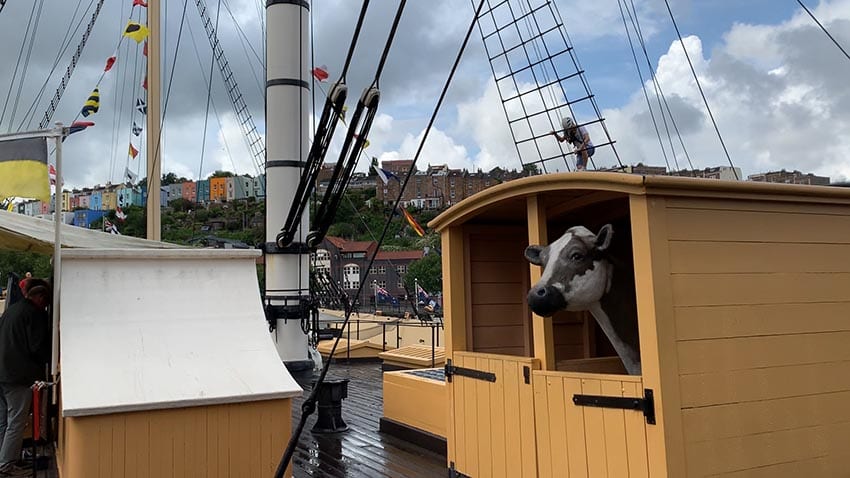 The yellow cowshed on the SS Great Britain with a black and white cow peering out. In the background someone is climbing the rigging and you can see blue sky behind the clouds.
