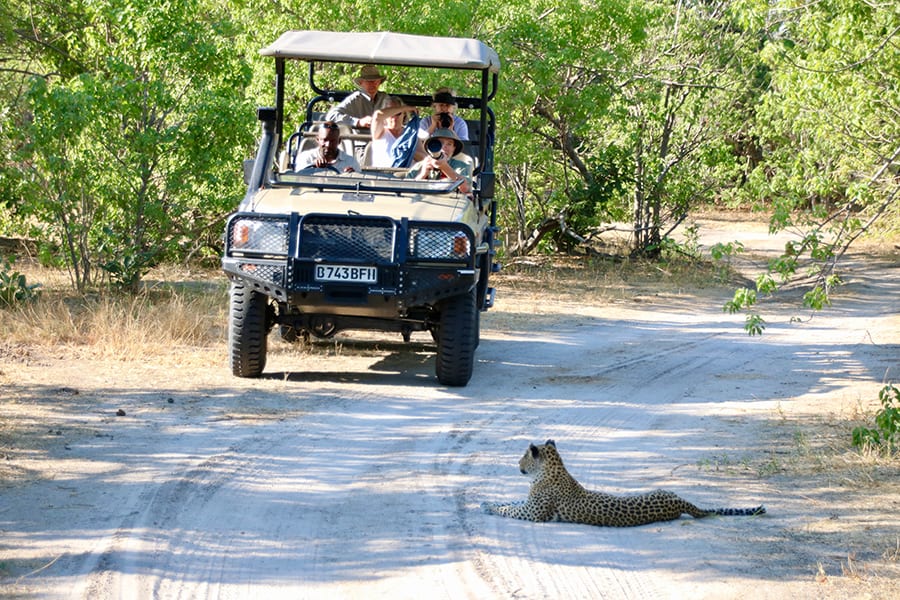 12 Amazing Unesco Heritage Sites In Africa 5 Safari jeep with five people in it on a sandy path surrounded by green bushes. A leopard is lying in the road