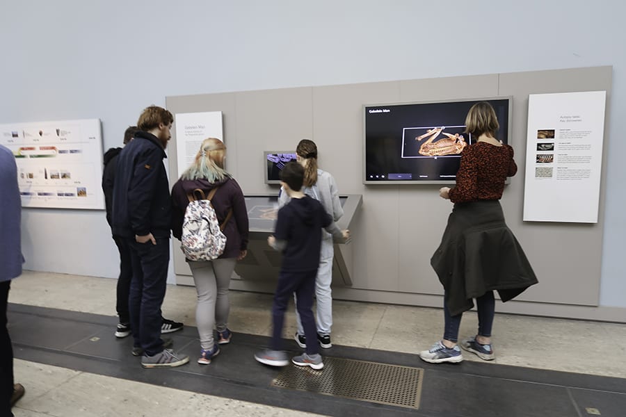 The British Museum, London - 30 Top Tips For Your Visit 9 An interactive autopsy