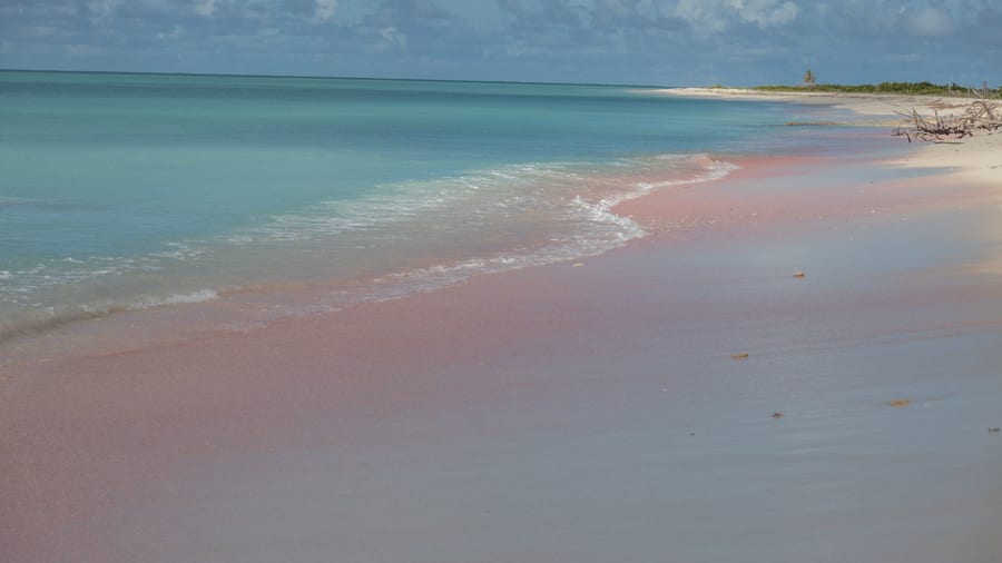 Barbuda – What you Need to Know Before You Go 5 Pink Beach on Barbuda 2
