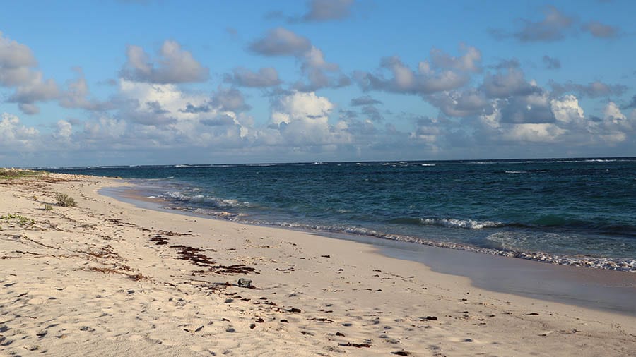 Barbuda – What you Need to Know Before You Go 4 beach on Barbuda