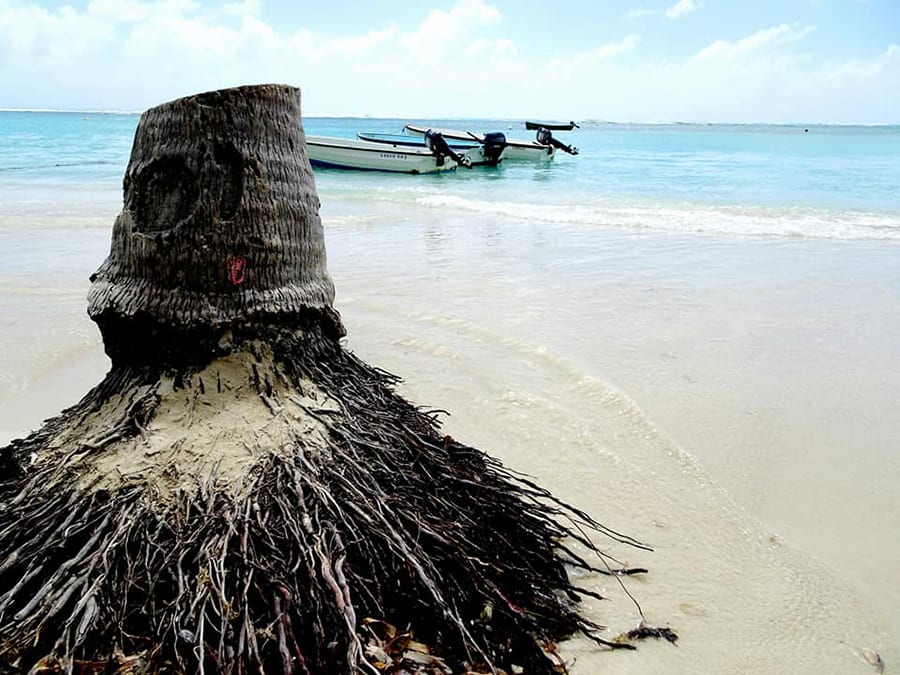 Guadelope