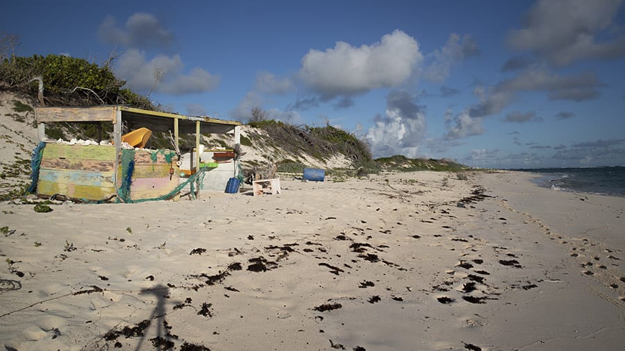 Chilling out at the beautiful Frangipani Glamping, Barbuda 9 THE BEACH SHACK