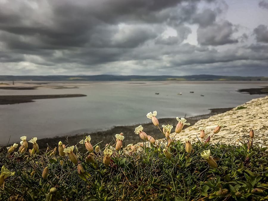 holy island view