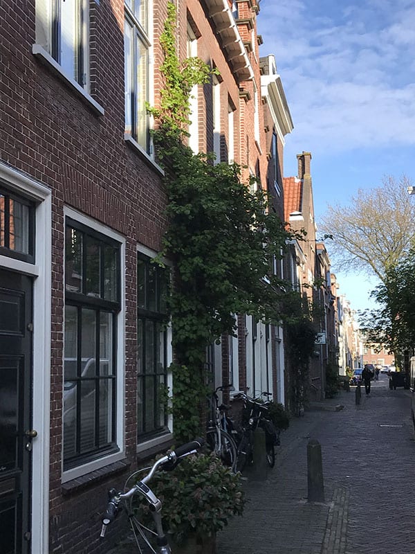 10 Best Things to Do in Haarlem 13 Alley in Haarlem