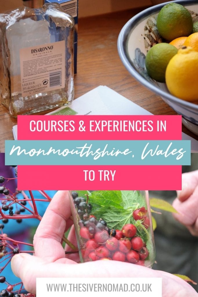 Image of Disaronno next to a bowl of lemons and limes above a photo of a bottle with berries and leaves in it with text below saying Guide to Courses & experiences in Monmouthshire
