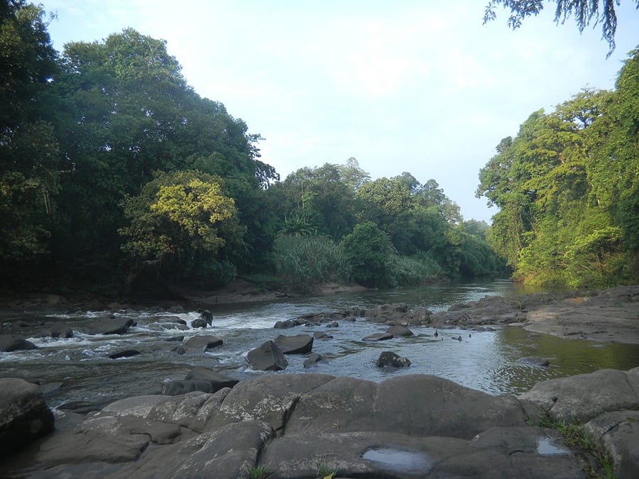 10 Great Reasons to Visit Indonesia 10 broad river with large stones and trees leaning over it