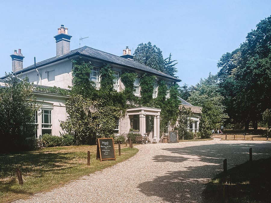 Ivy covered building with two wings and three chimneys and a line of trees to the right