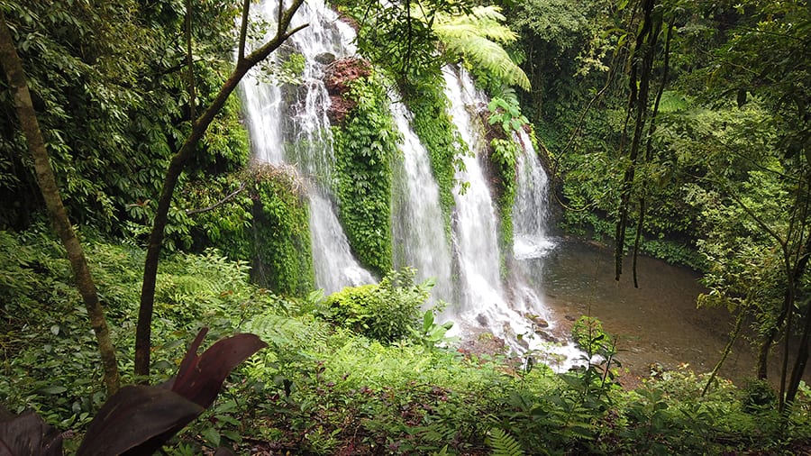 10 Great Reasons to Visit Indonesia 8 waterfalls seen through trees