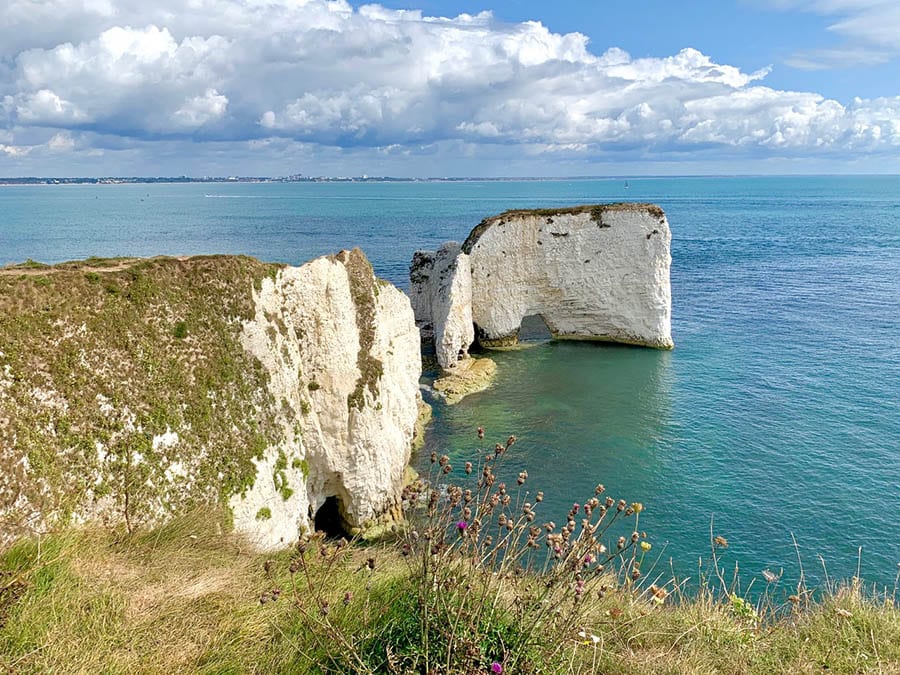 10+ of the Best Weekends in Dorset 14 the chalk peninsular at Studland with grassland in the foreground
