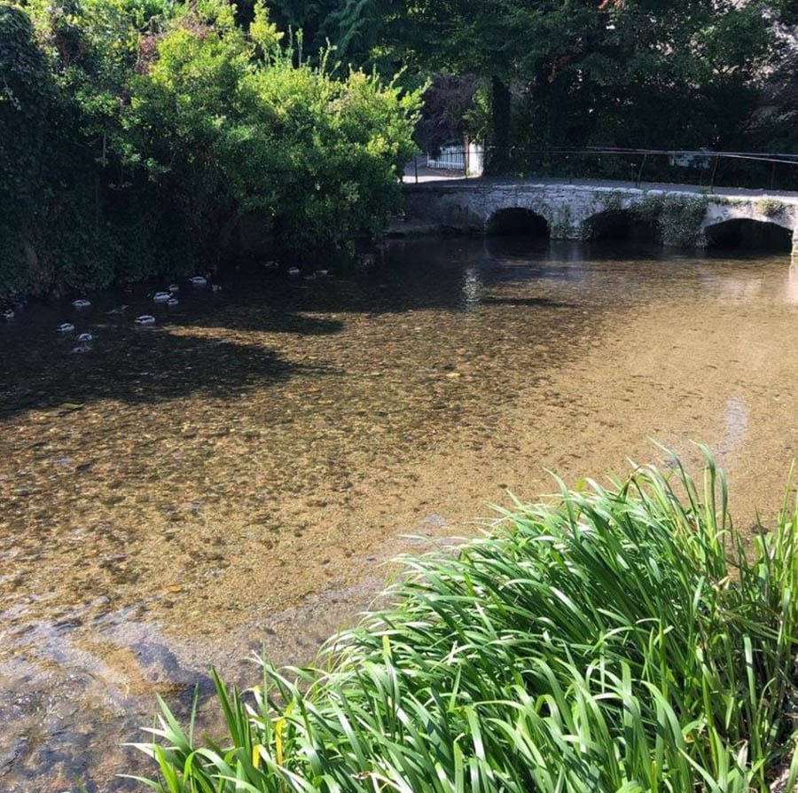 10+ of the Best Weekends in Dorset 11 the shallow river Fromer with bridge over in the distance and trees overhanging