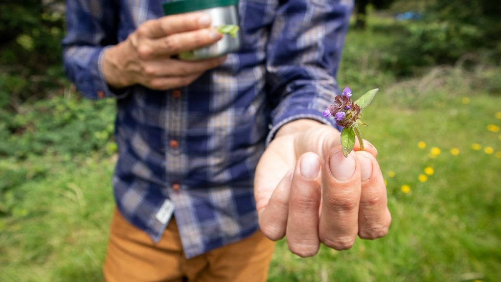 The Burleigh Court Hotel & Restaurant, Luxury in the Cotswolds 32 FORAGING