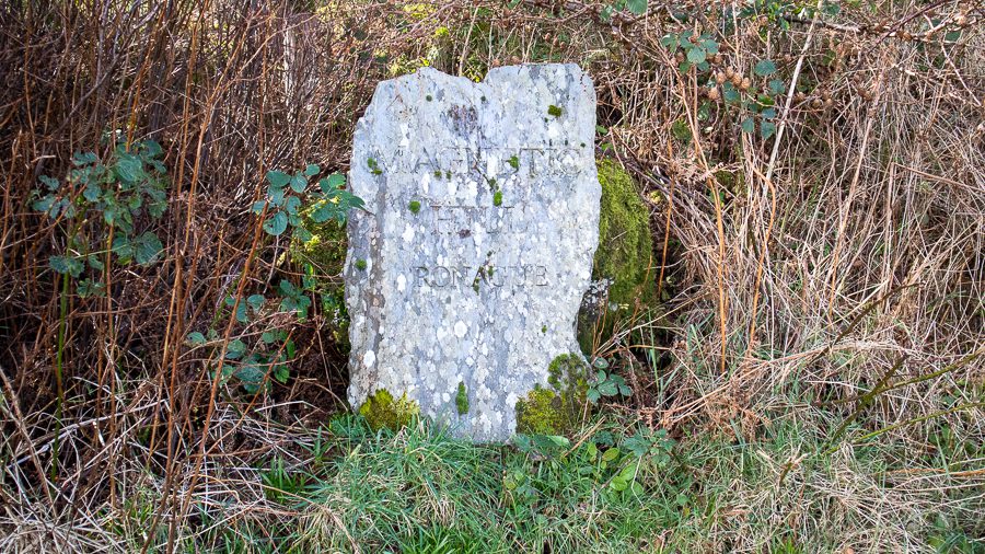 15+ Of The Best Things To Do On The Isle Of Man 20 Stone marker saying Magnetic Hill Ronague surrounded by brambles