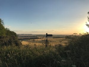 Signpost saying The Ridgeway in amongst the undergrowth with fields in the distance and the setting sun
