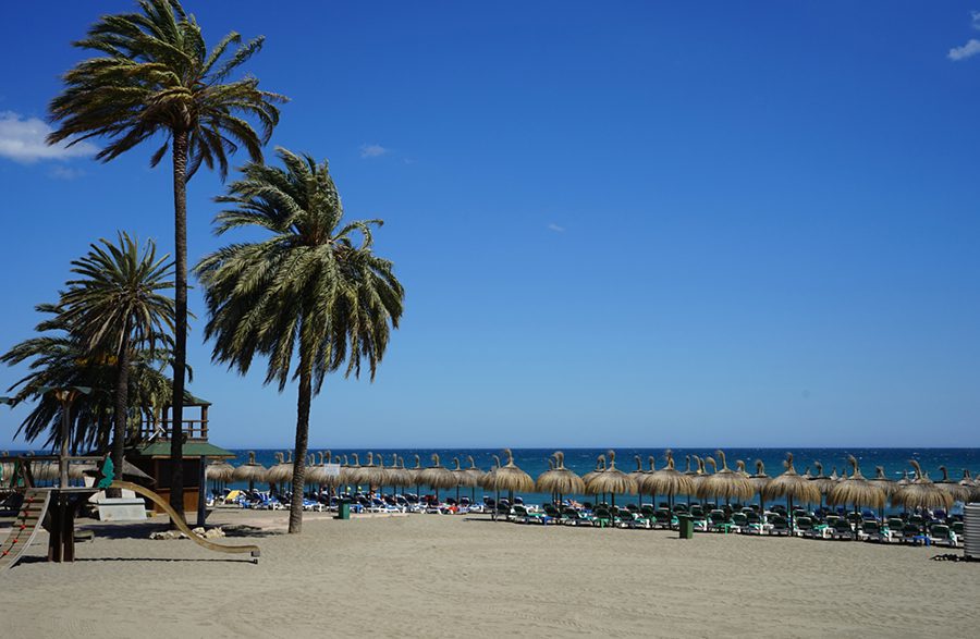 25 Amazing Destinations for Winter Sun around the World 20 Beach at Marbella with 4 palm trees and beach umbrellas looking like upturned coconuts