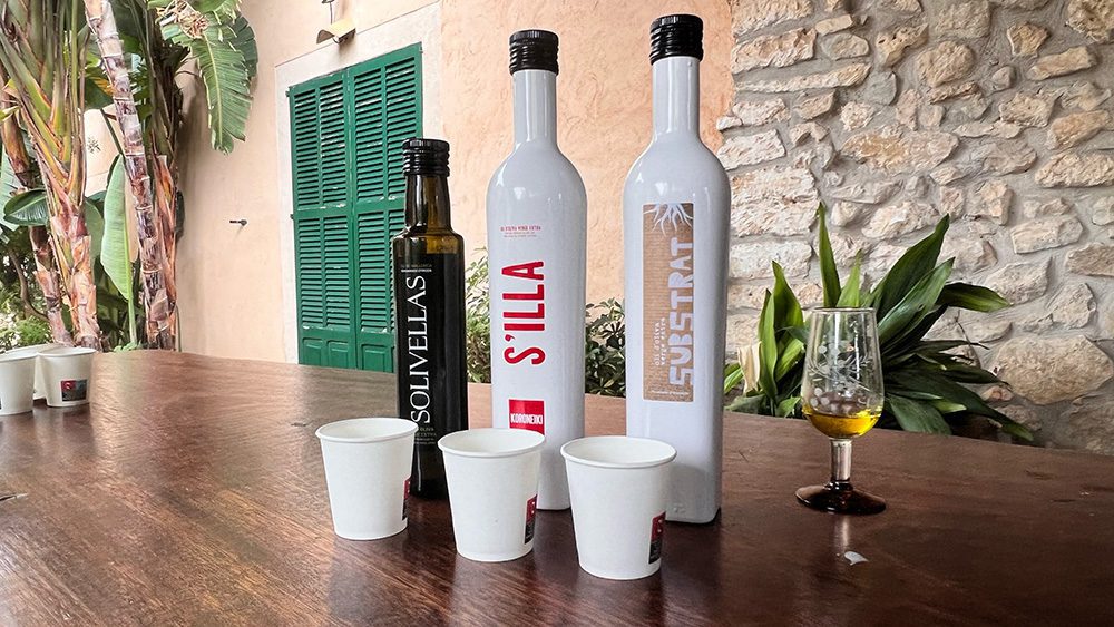 27 of the best things to do in Alcudia, Mallorca 21 3 bottles of Olive Oil from Solivellas Olive Farm