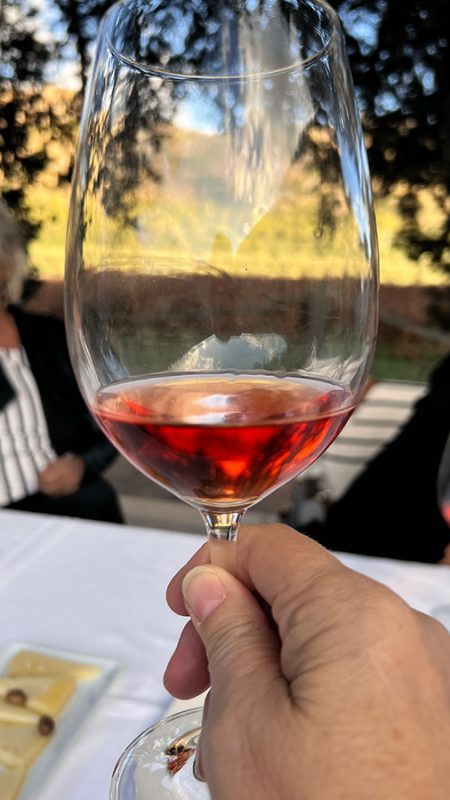 27 of the best things to do in Alcudia, Mallorca 18 Son Simo Vello White Wine against the vine leaves