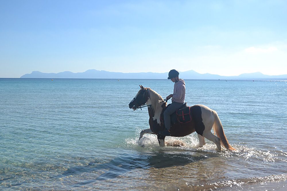 27 of the best things to do in Alcudia, Mallorca 22 piebald horse walking through the sea with hills behind