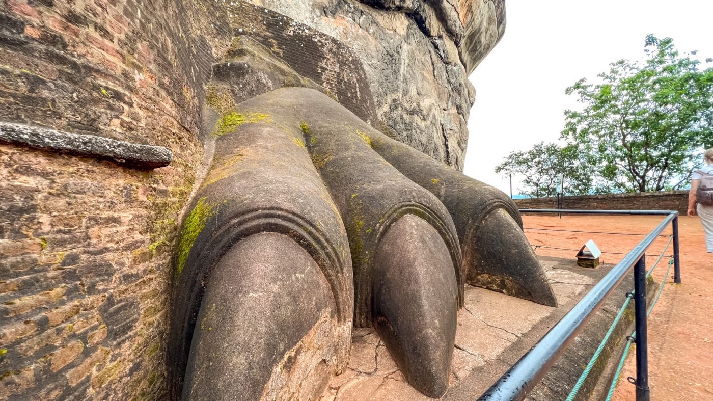 Climbing The Amazing Lion Rock In Sigiriya: The Ultimate Guide (2025) 12 Close-up view of the Lion's Paw