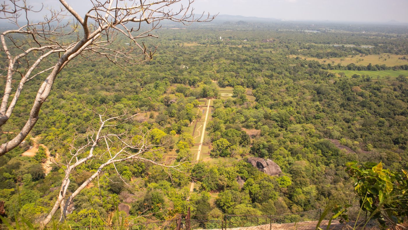 Climbing The Amazing Lion Rock In Sigiriya: The Ultimate Guide (2025) 17 View from the summit of the gardens