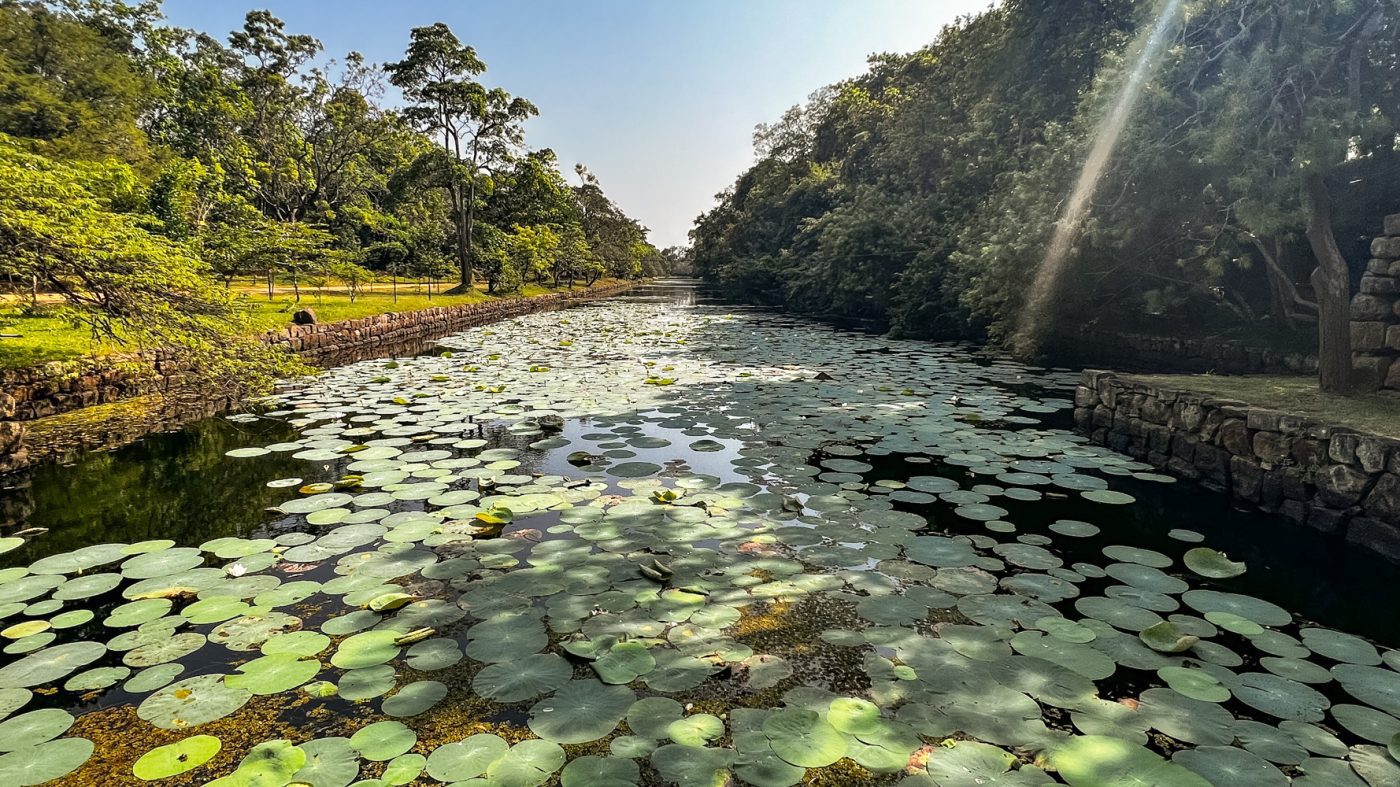 Climbing The Amazing Lion Rock In Sigiriya: The Ultimate Guide (2025) 6 Lily pads in the gardens