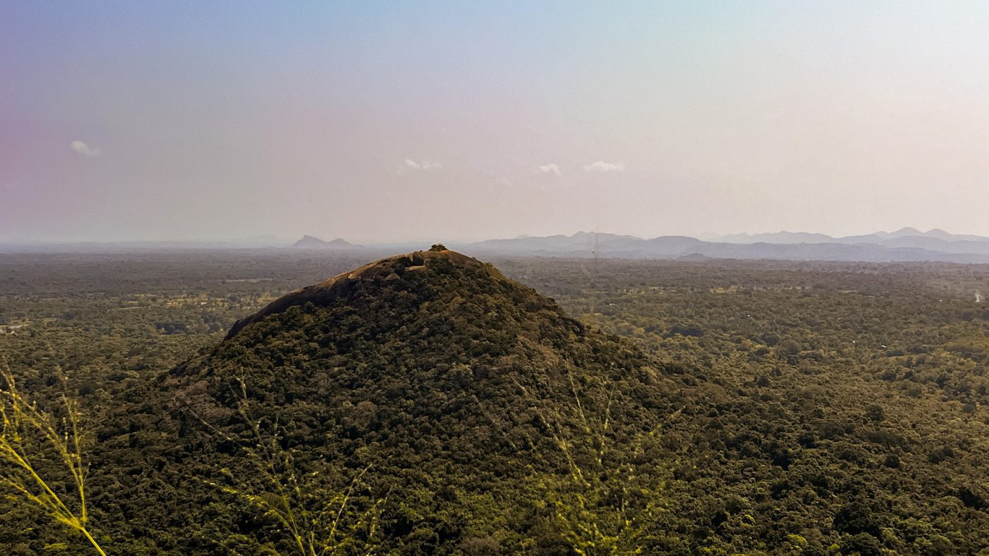 Climbing The Amazing Lion Rock In Sigiriya: The Ultimate Guide (2025) 13 View of Pidulgala from Lion Rock
