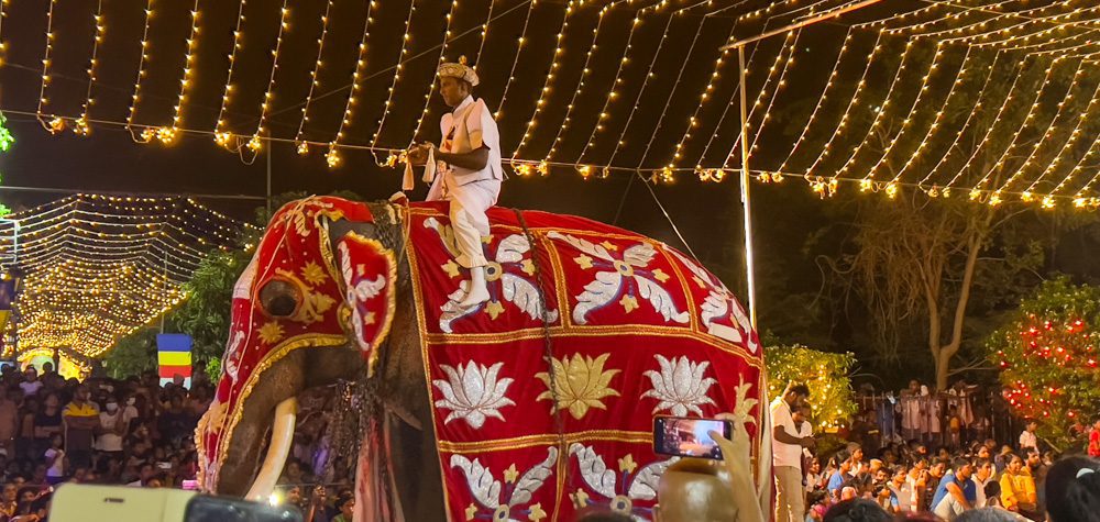 Why Amazing Sri Lanka Should Be Your Next Travel Destination (2025) 12 Elephant taking part in Poson Festival