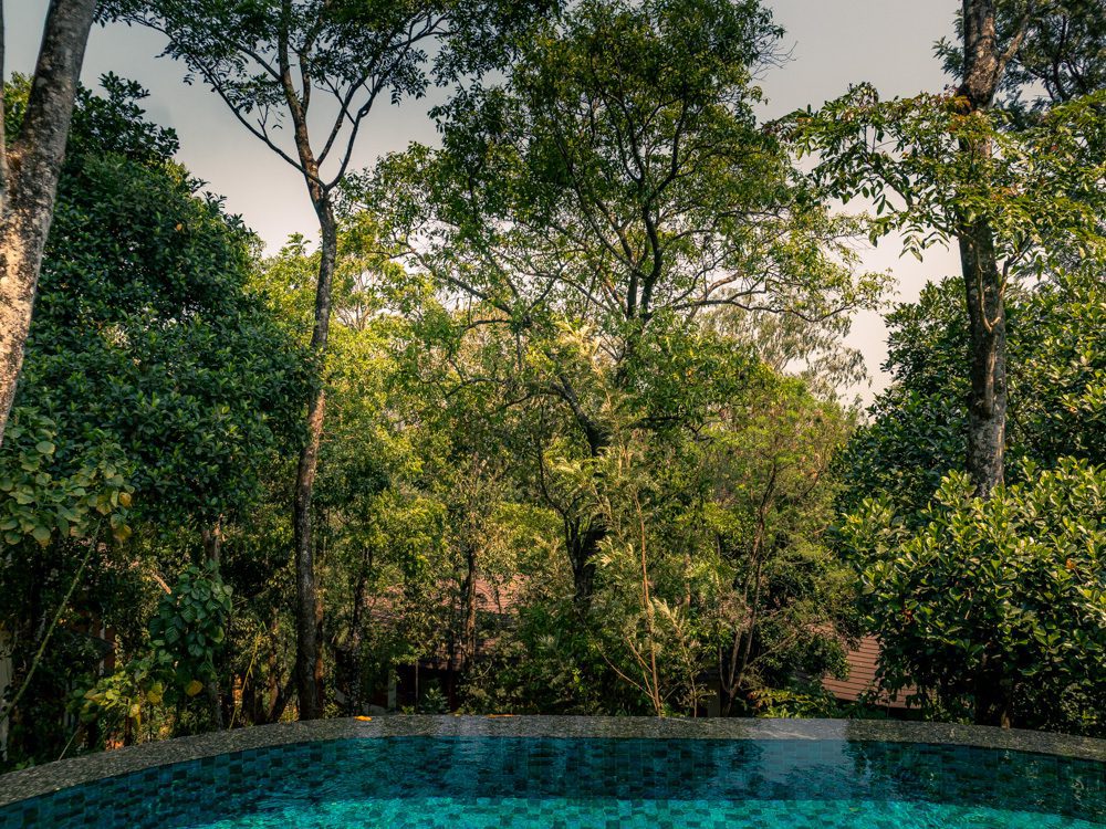 Stunning Timbertales In Coorg: A Tranquil Escape In Karnataka (2025) 9 infinity pool at the Mistwood Villa