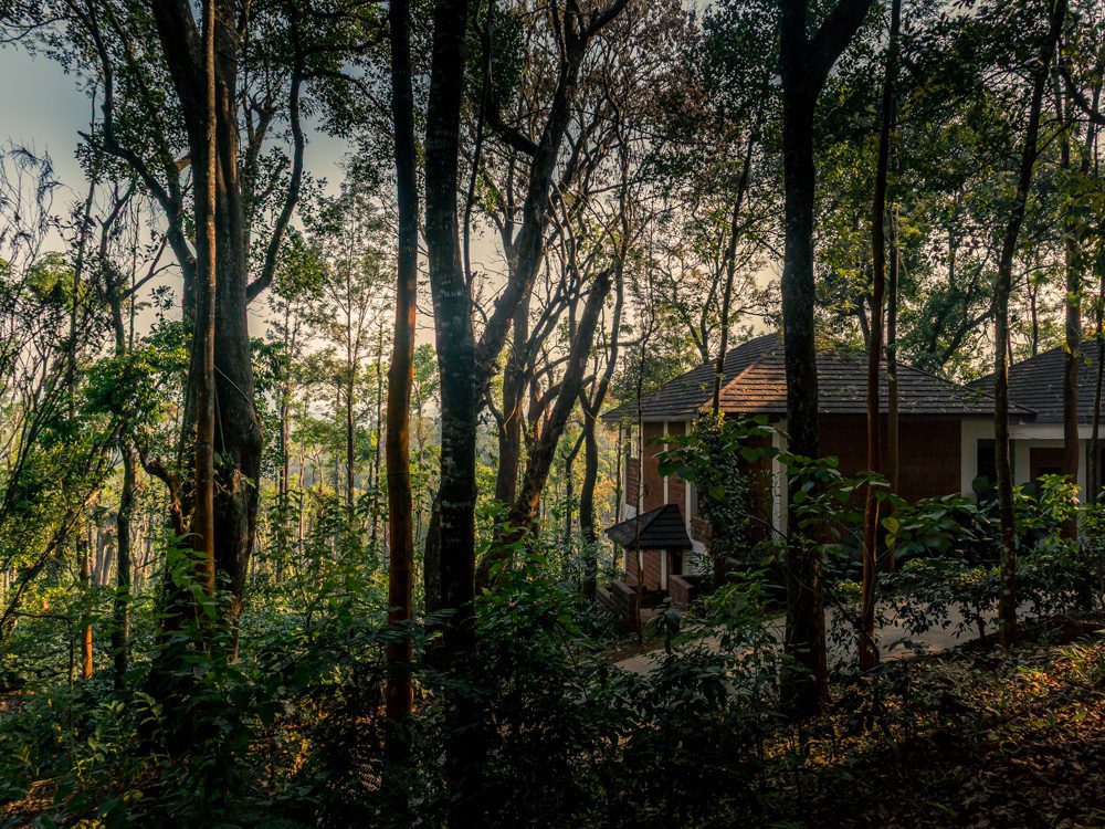 Stunning Timbertales In Coorg: A Tranquil Escape In Karnataka (2025) 7 view of trees and villas from the balcony