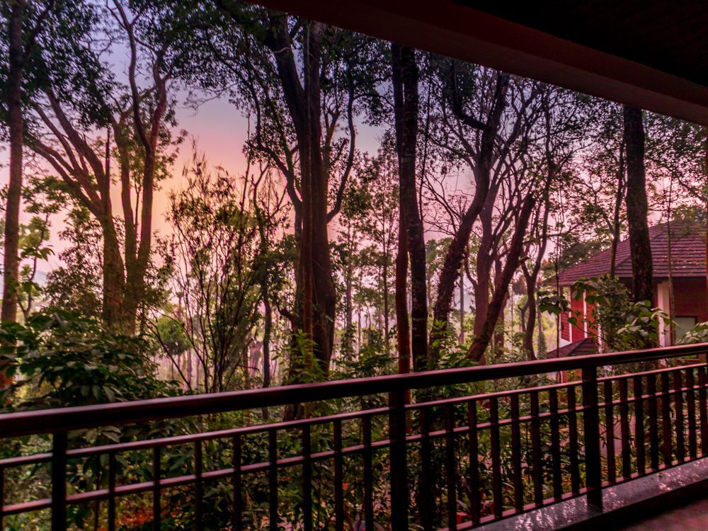 Stunning Timbertales In Coorg: A Tranquil Escape In Karnataka (2025) 31 Timbertales 52