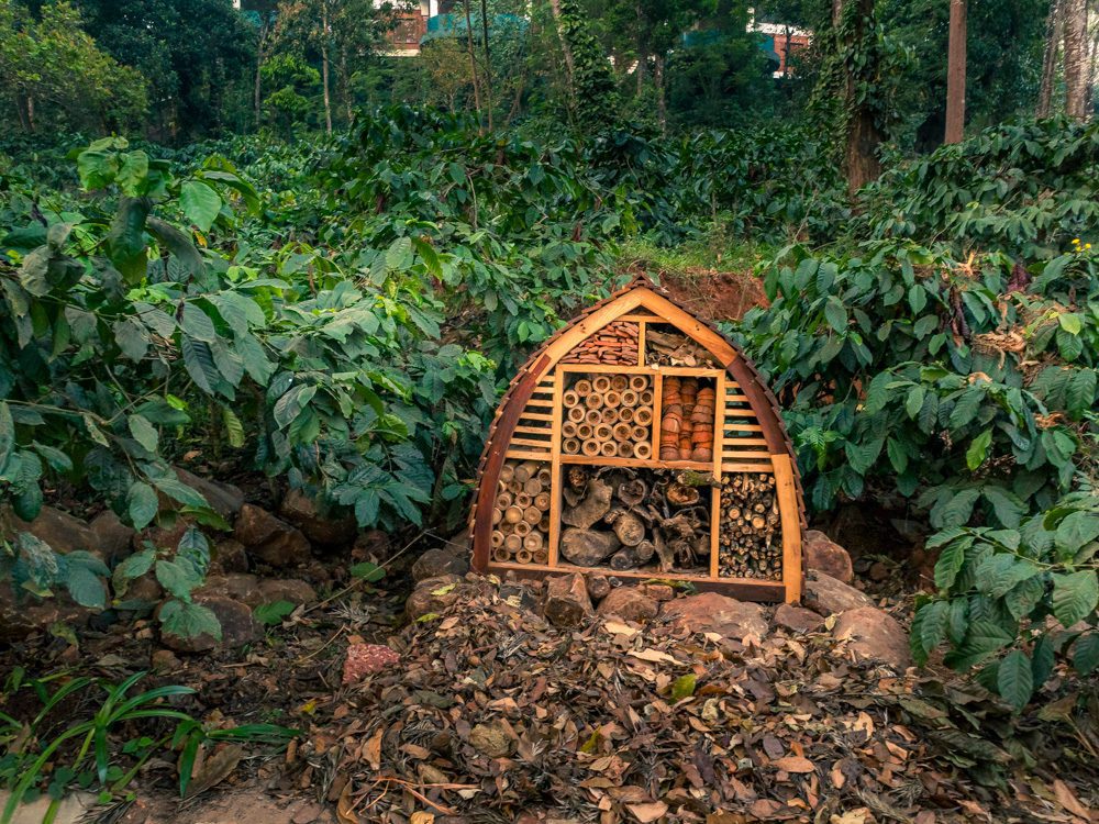 Stunning Timbertales In Coorg: A Tranquil Escape In Karnataka (2025) 29 Timbertales 62