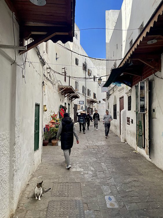 The 11 Best Places to Visit in Morocco 11 Tetouan - whitewashed houses in a curving alley with men walking and a cat