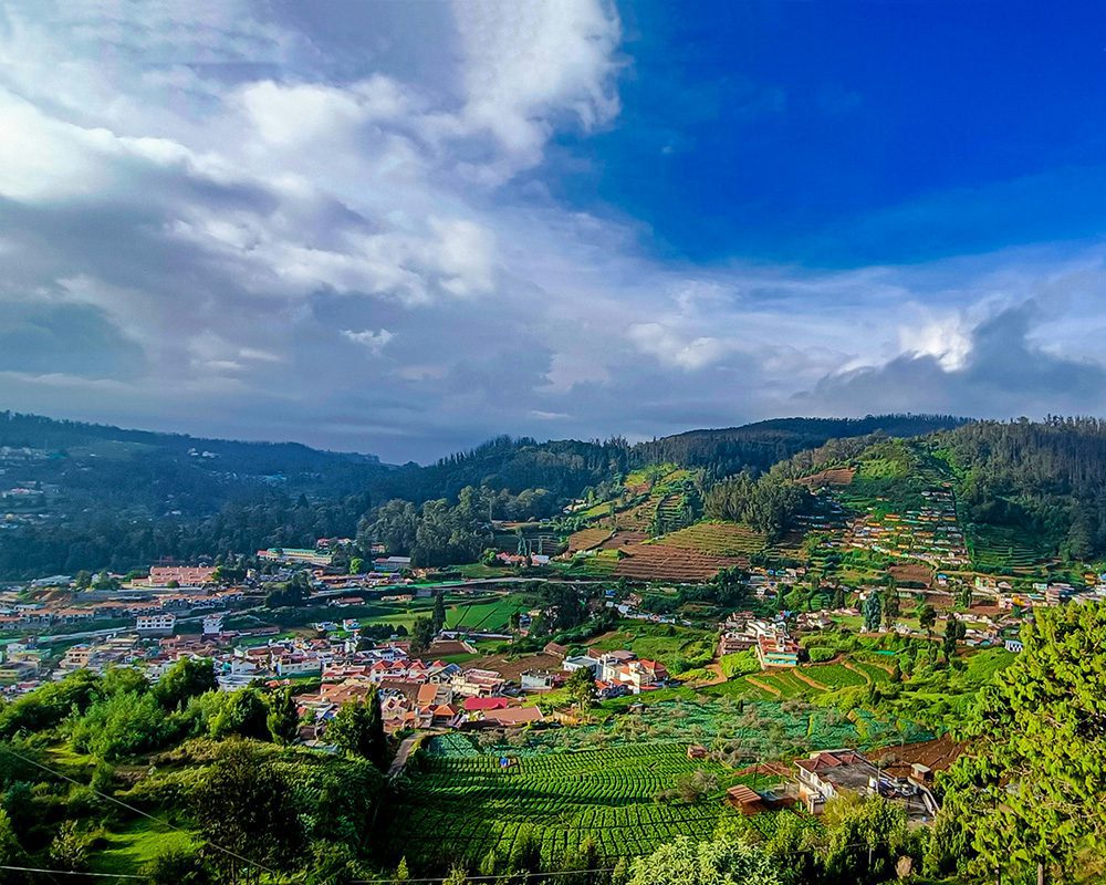 Tamil Nadu Travel Guide: Everything You Need to Know 13 scenic view of Ooty with terraced fields