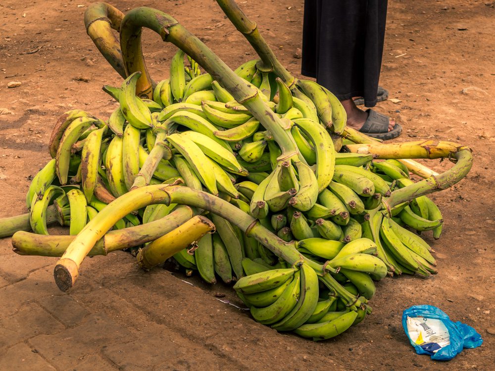 What to Eat in Uganda: A Delicious Journey Through Uganda’s Best Dishes 10 pile of green plantain