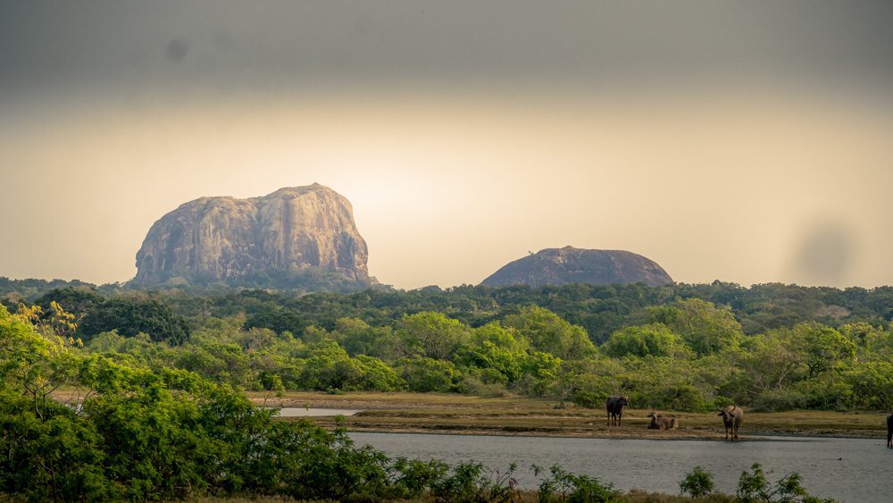 Elephant Rock