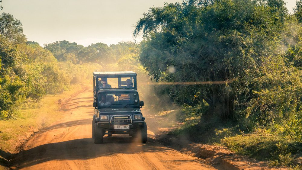 Jeep safari in Yala