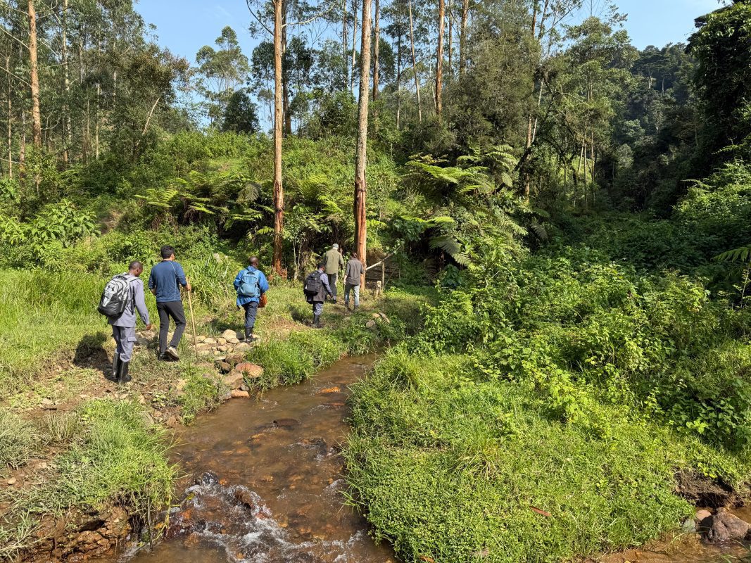 trekking can take you past streams and up hills