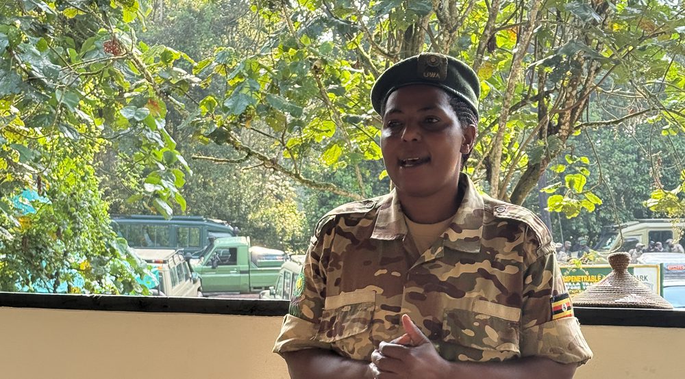 Safety Briefing from one of the rangers
