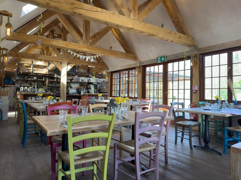 The Flying Pig with colourful chairs and light and airy atmosphere