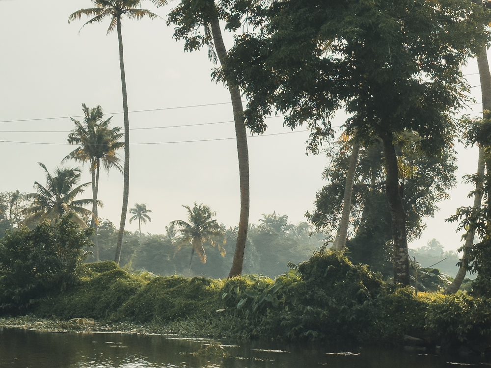 Kerala Travel Guide: The Ultimate Guide To God'S Own Country 9 Kumarakom backwaters