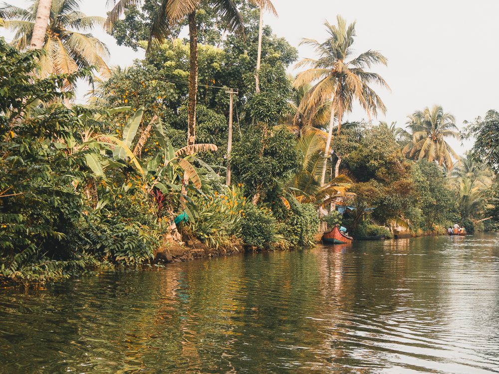Kerala Travel Guide: The Ultimate Guide To God'S Own Country 16 Backwaters of Kerala