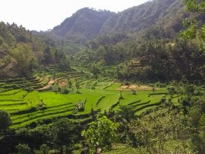 When is the best time to visit Bali?