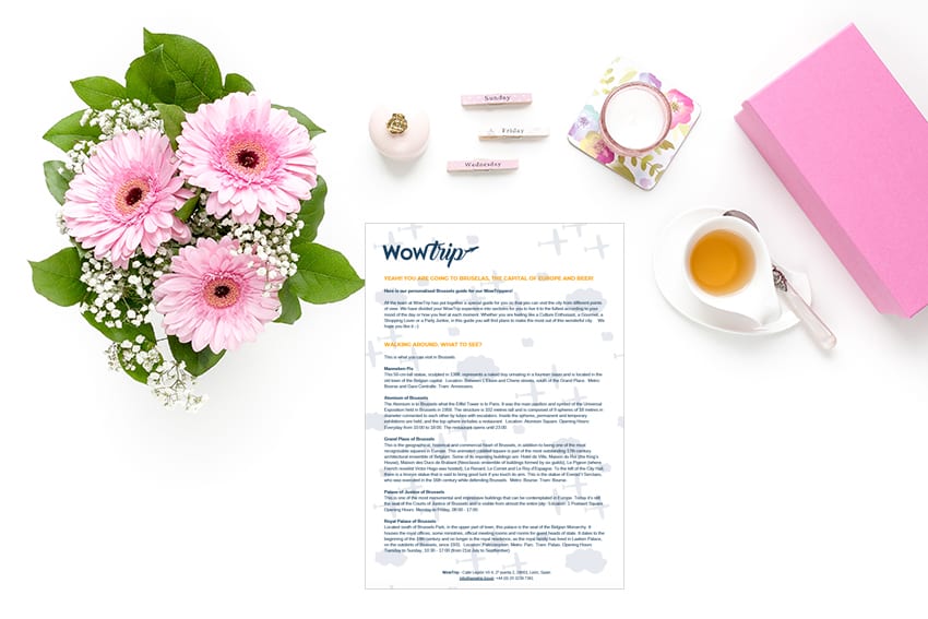 WowTrip download