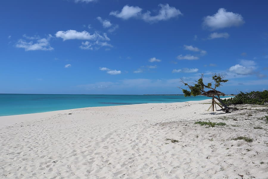 Princess Diana Beach in Barbuda, a long white beach with turquoise sea and palm trees