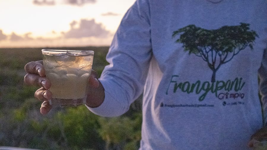 Chilling Out At The Beautiful Frangipani Glamping, Barbuda 13 dark and stormy