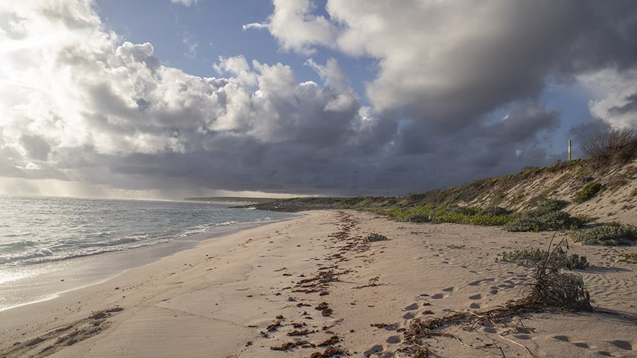 Chilling Out At The Beautiful Frangipani Glamping, Barbuda 10 Frangipani beach as the day breaks
