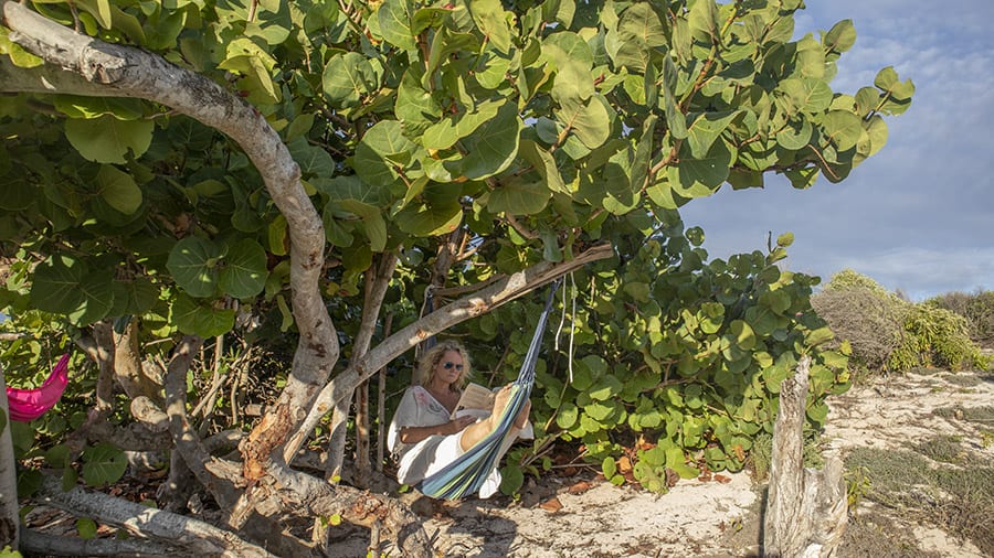 Chilling Out At The Beautiful Frangipani Glamping, Barbuda 8 hammock