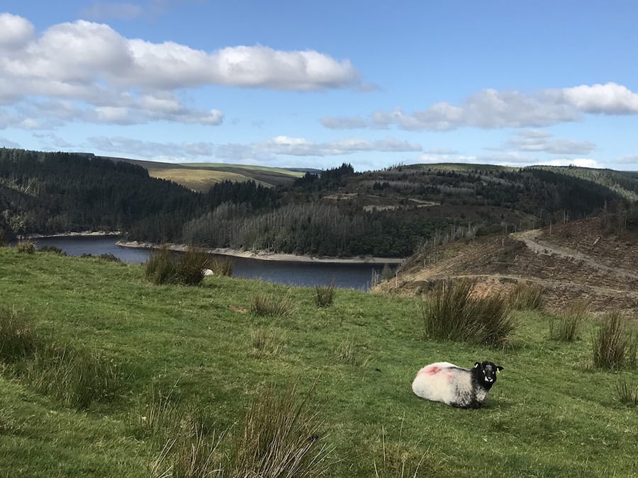 14 Of The Best Weekends In Wales 11 Brecon Beacons Itinerary Where Angie Wanders 2