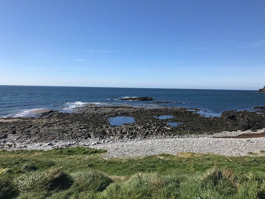 20+ Of The Best Things To Do In Port St Mary, Isle Of Man 9 sea with rock pools and grass in the foreground